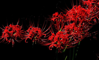 parler en toute simplicité